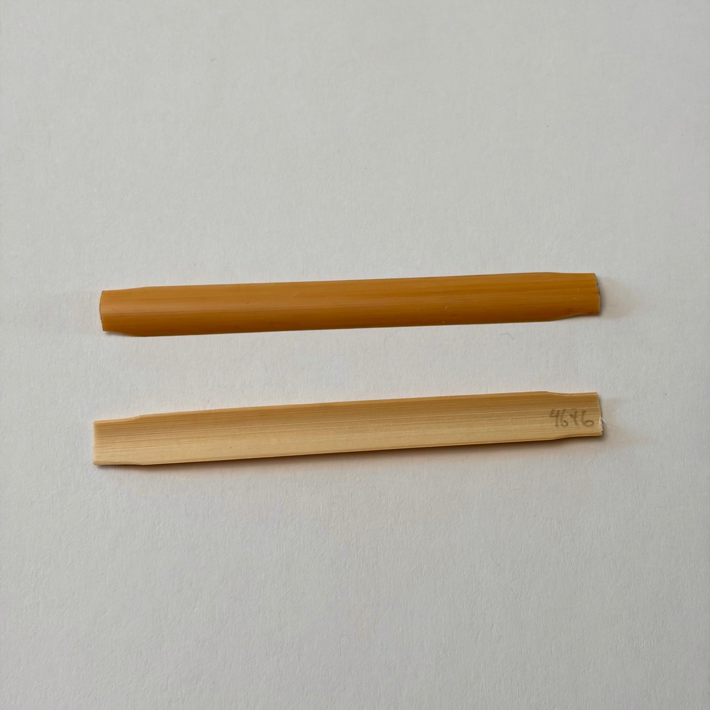 Oboe cane, gouged