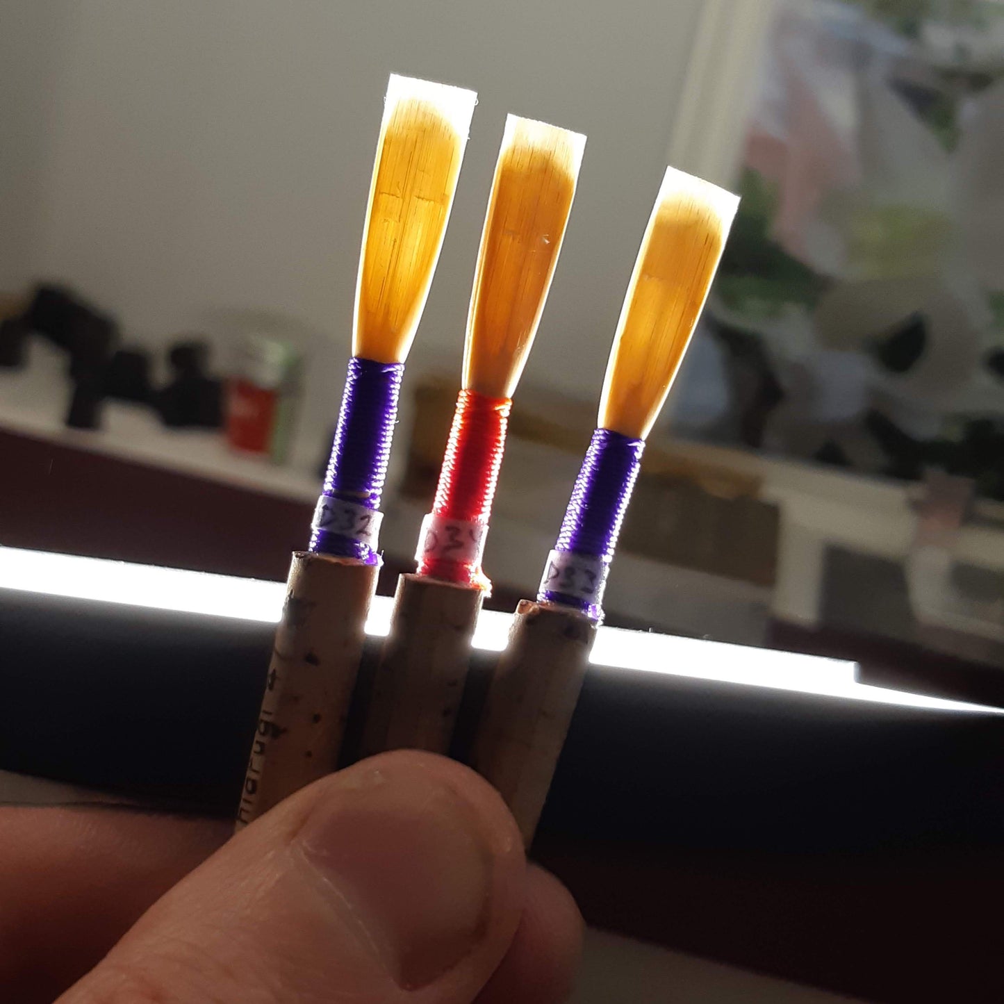 Professional oboe reed