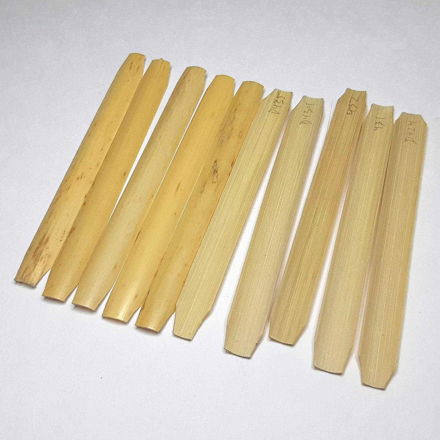 Oboe cane, gouged, 10 pcs