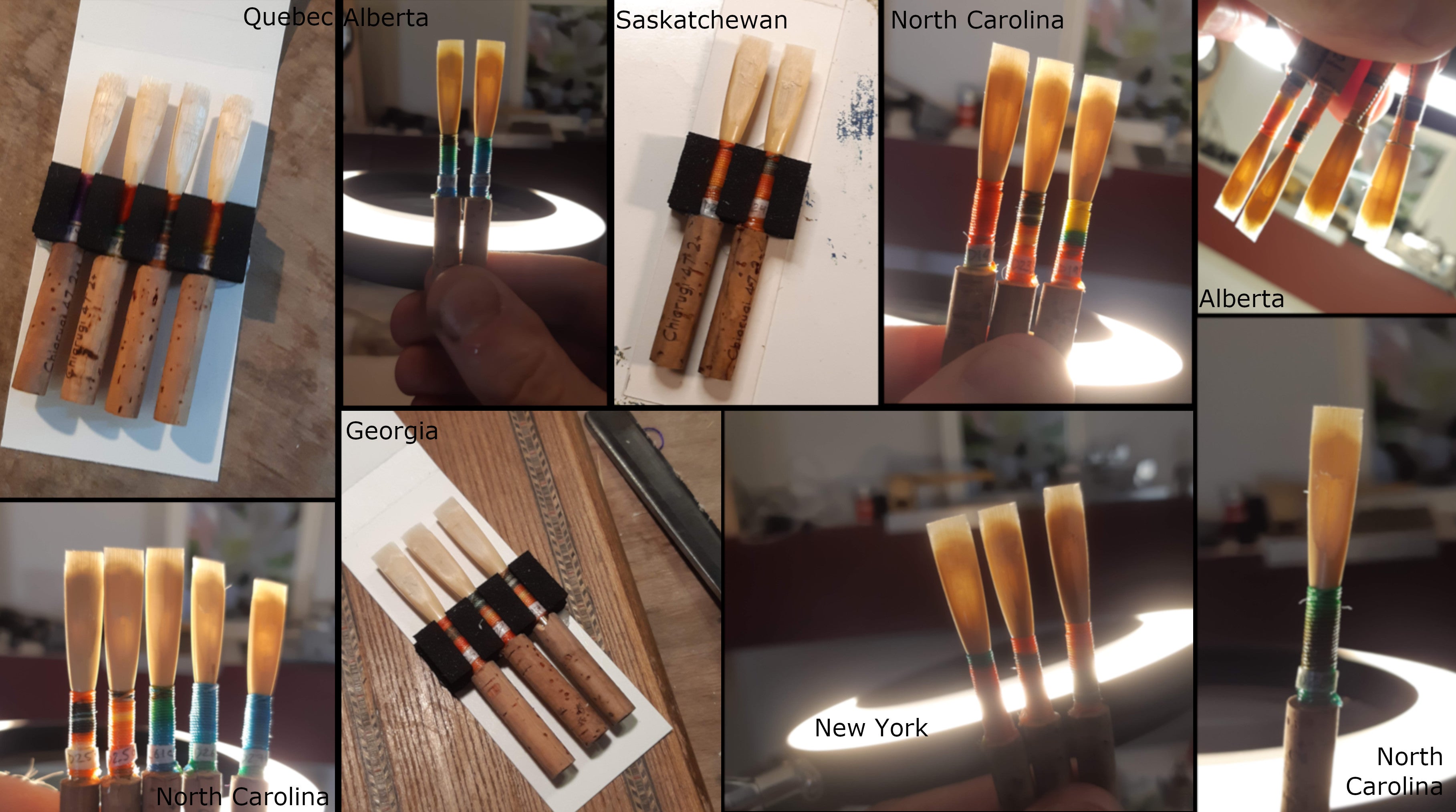 The reeds of August – Dan Waldron Oboe Reeds
