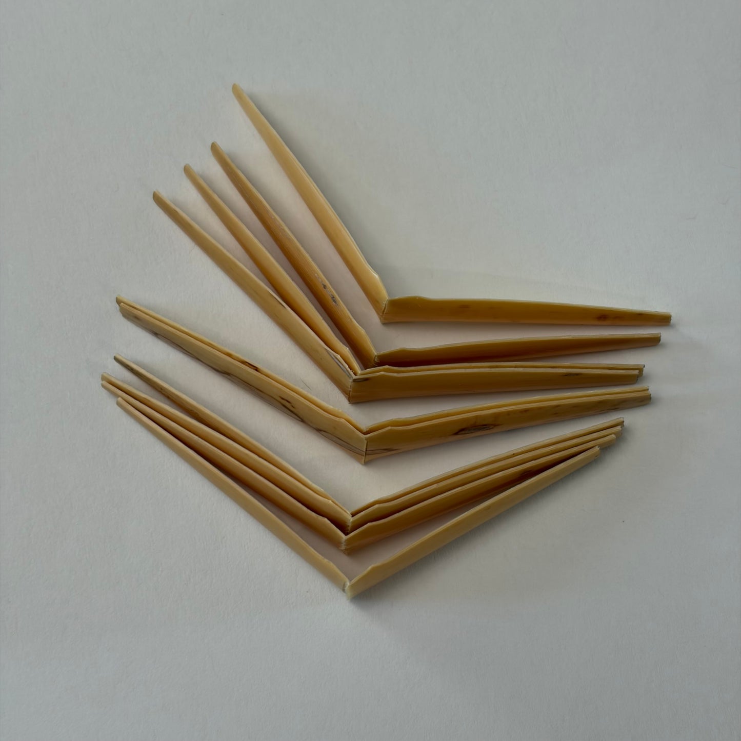 Oboe cane, shaped