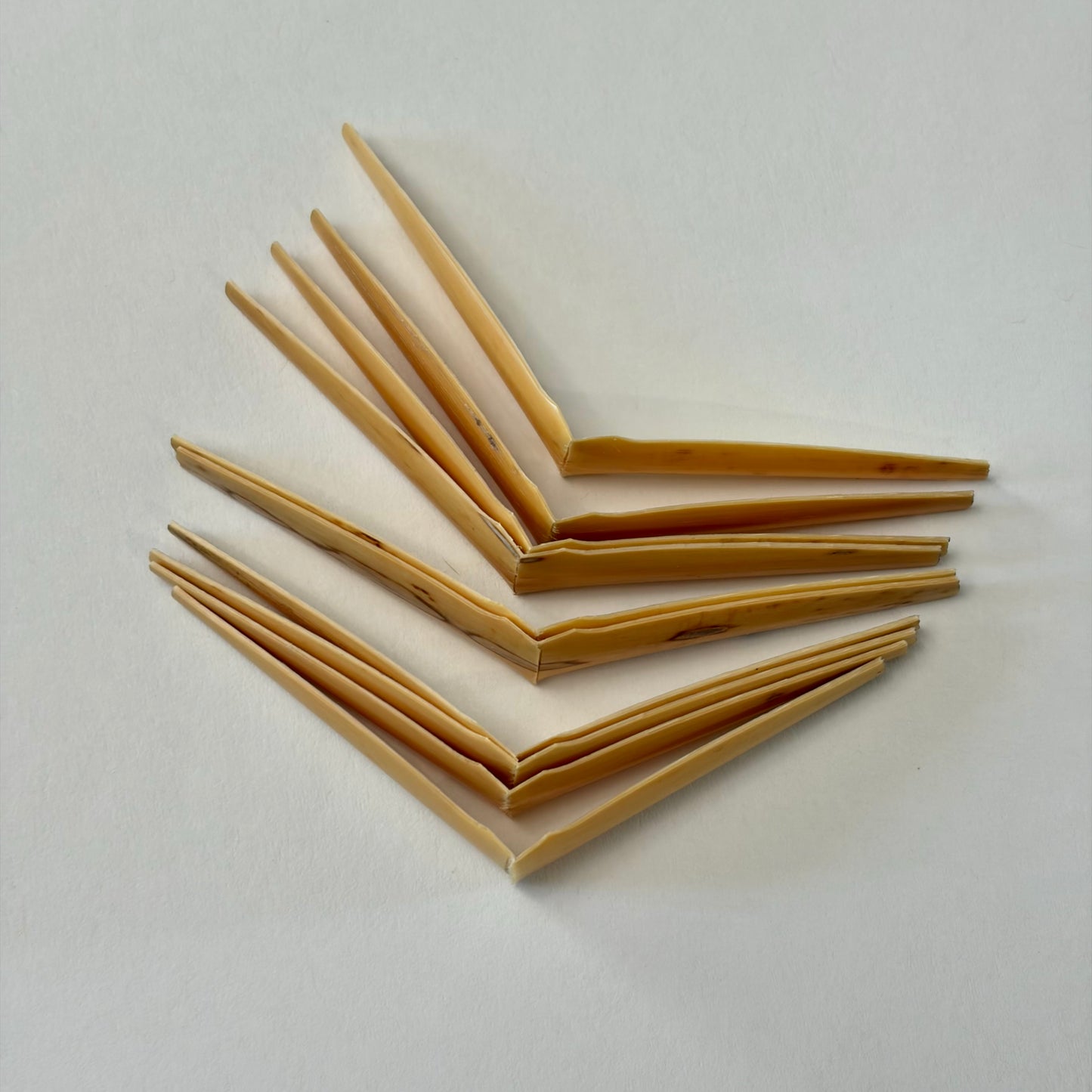 Oboe cane, shaped