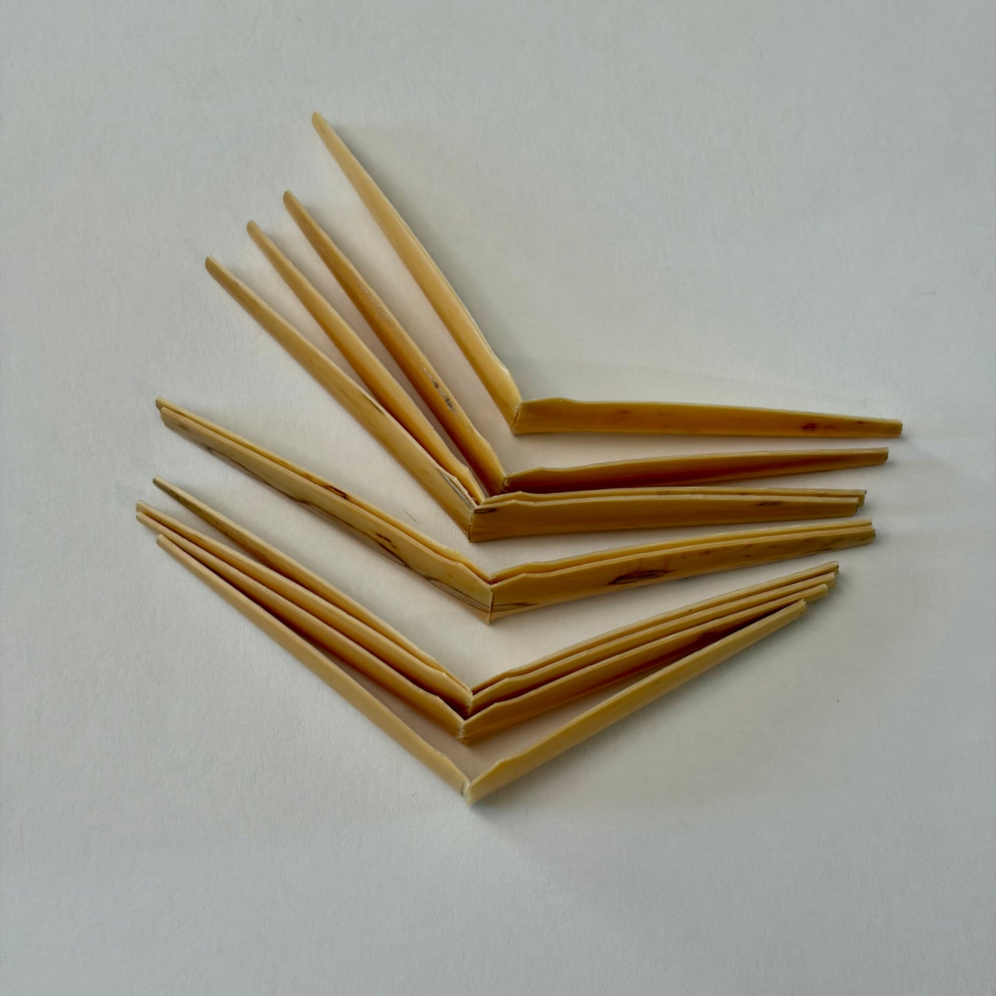 Oboe cane, shaped