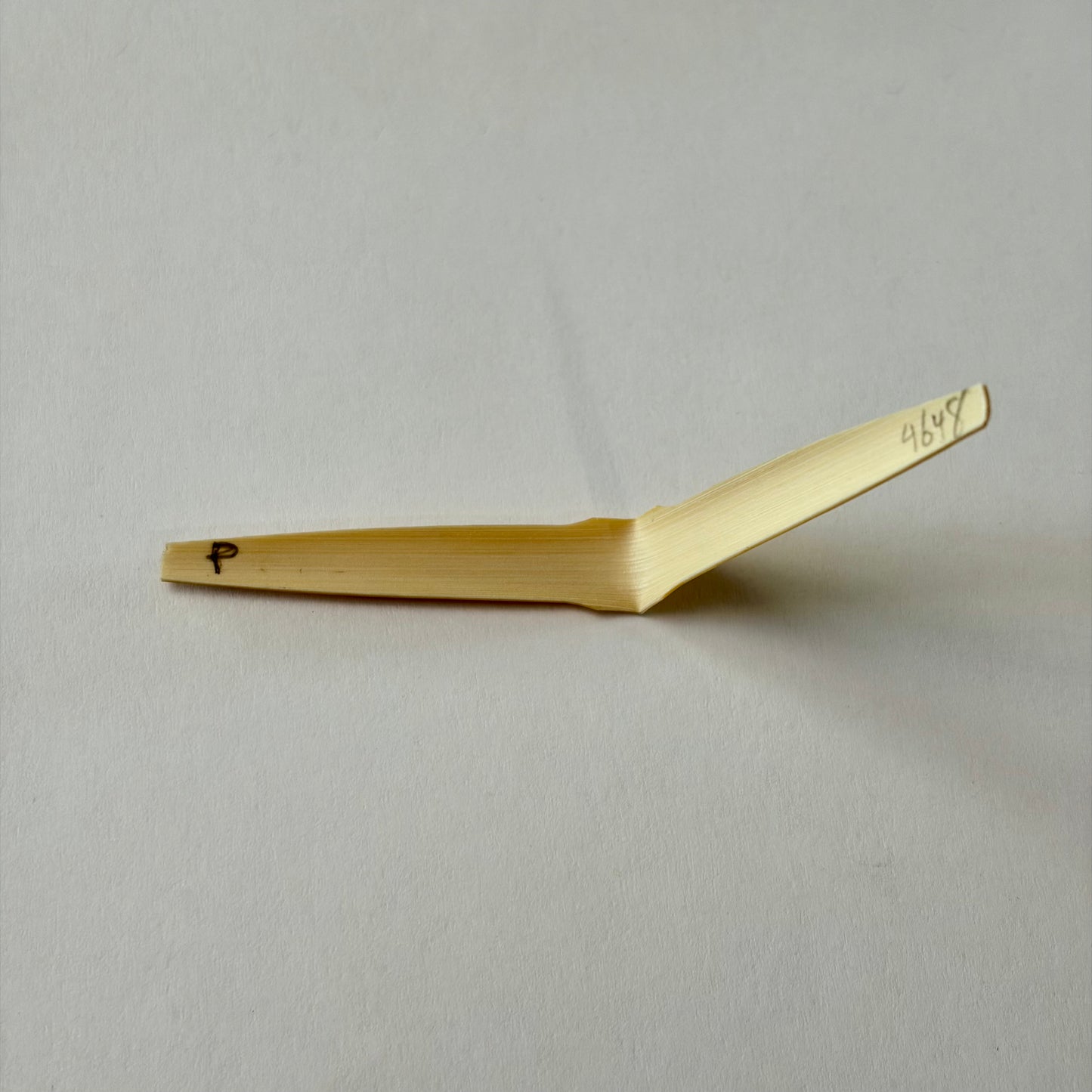 Oboe cane, shaped